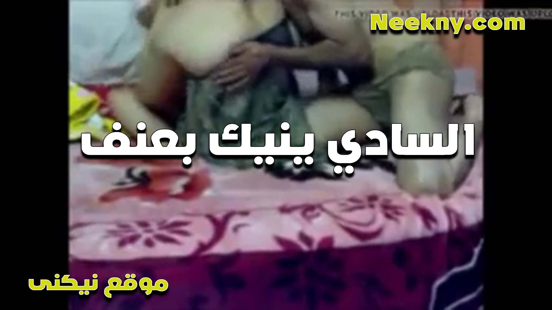 سادي عنيف اوي بينيك سكس مصري اللبوه بغشم ورم كسها نيك وبزلها الشرموطه وهي اخر استمتاع